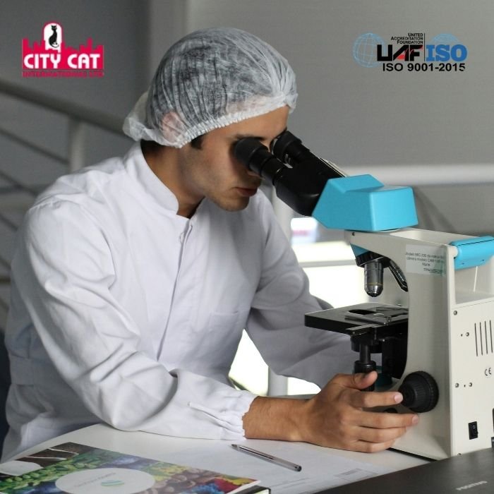 City Cat Lab Equipment Parts